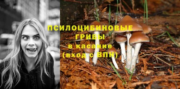 прущая мука Абаза