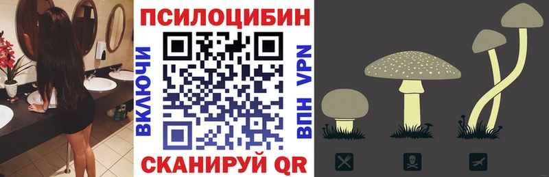 Псилоцибиновые грибы прущие грибы  ссылка на мегу ССЫЛКА  Отрадное 