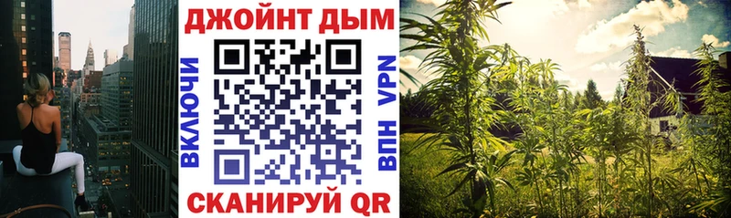 Бошки марихуана план Отрадное